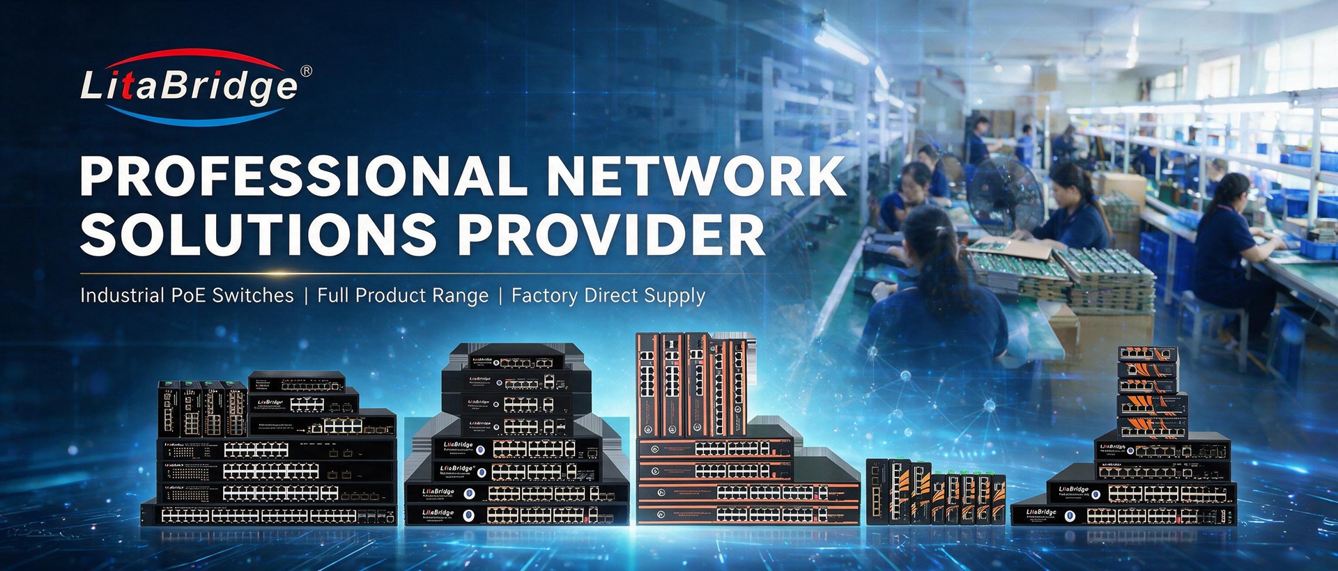 litabridge products